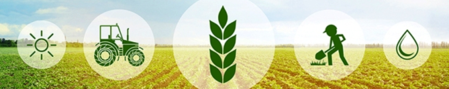 banner-Truy xuất nguồn gốc
